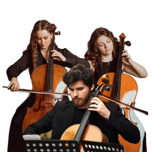ii-concerto-martha-cello-rogs30s6bii3s774fuehvuem892hlv60x5uzygutfs